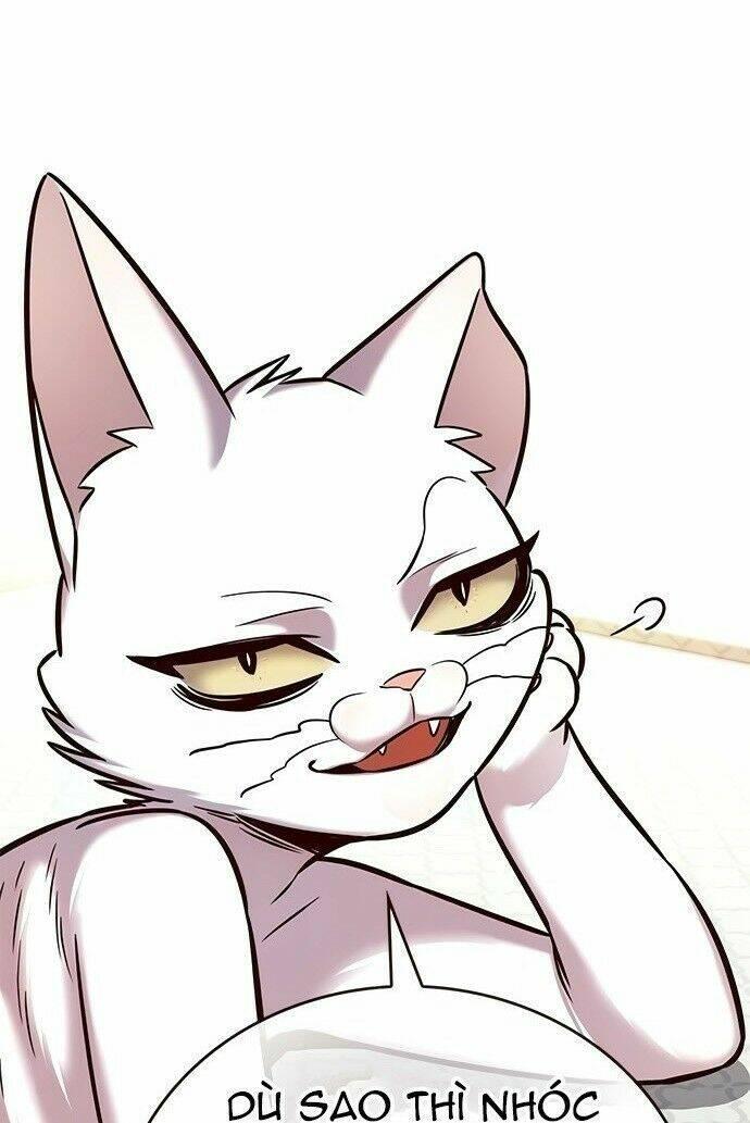 biến thân thành mèo chapter 201 12