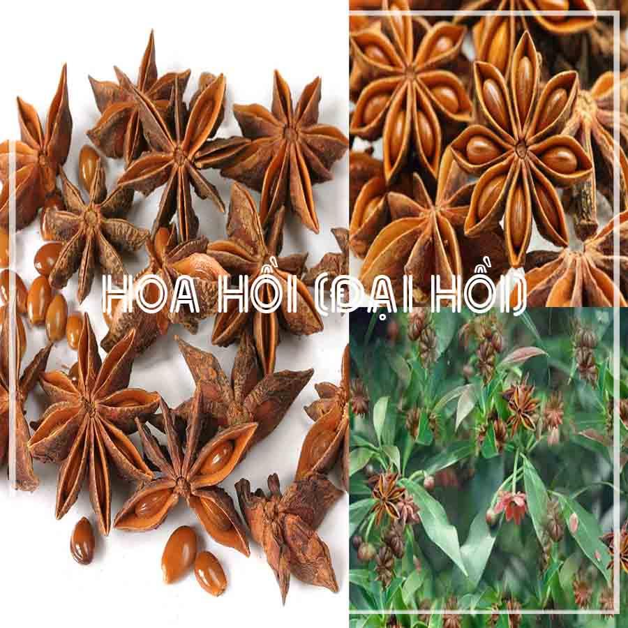 Hoa Hồi (Đại Hồi) 100gram