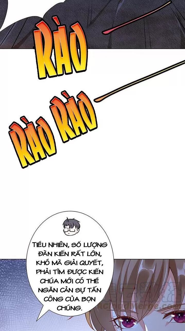 quy luật tình yêu ở mạt thế chapter 253 3