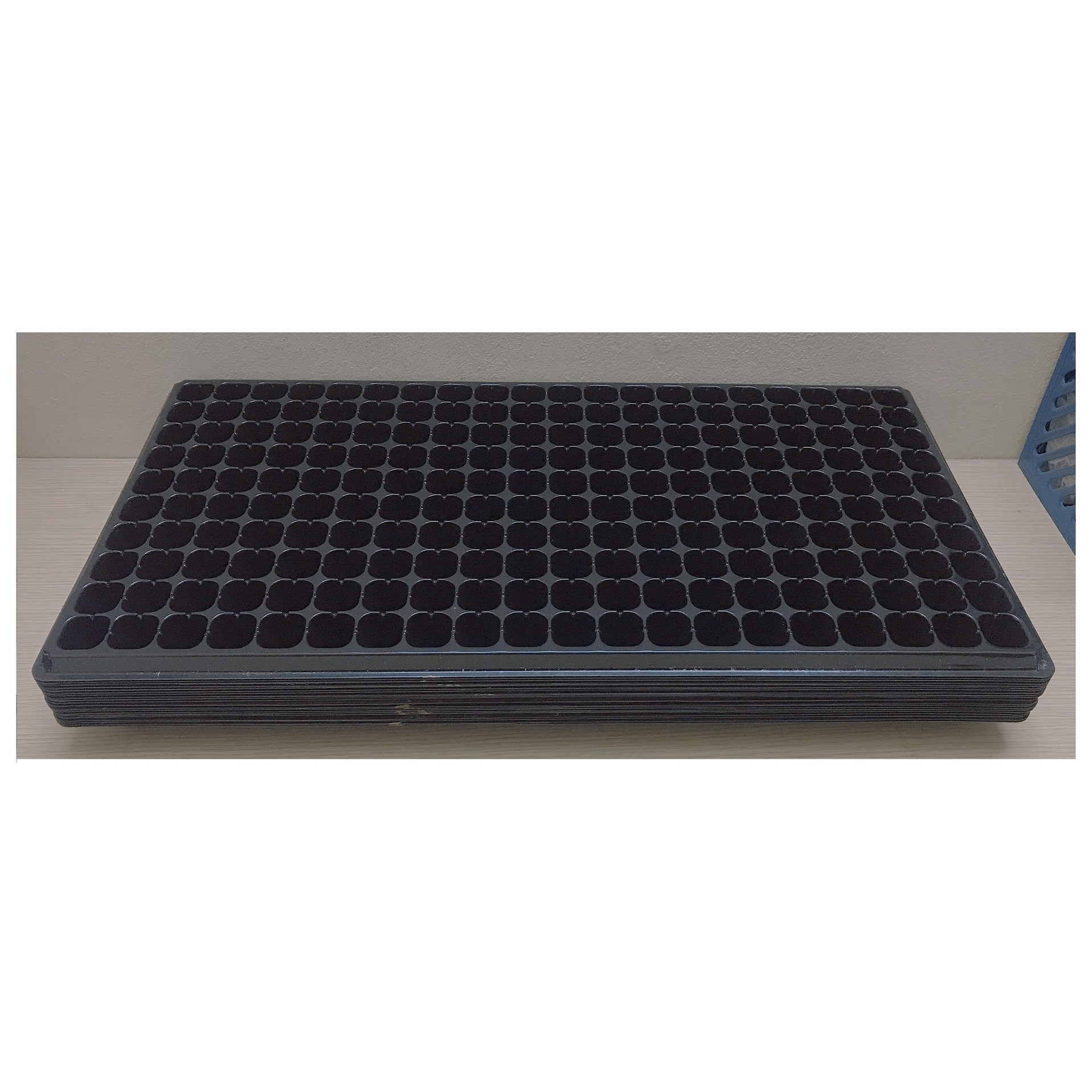 20 Khay Nhựa PVC 200 Lỗ Ươm Cây Tiện Lợi, Dễ Sử Dụng, Tích Kiệm Diện Tích - Khay nhựa ươm cây 200 lỗ!