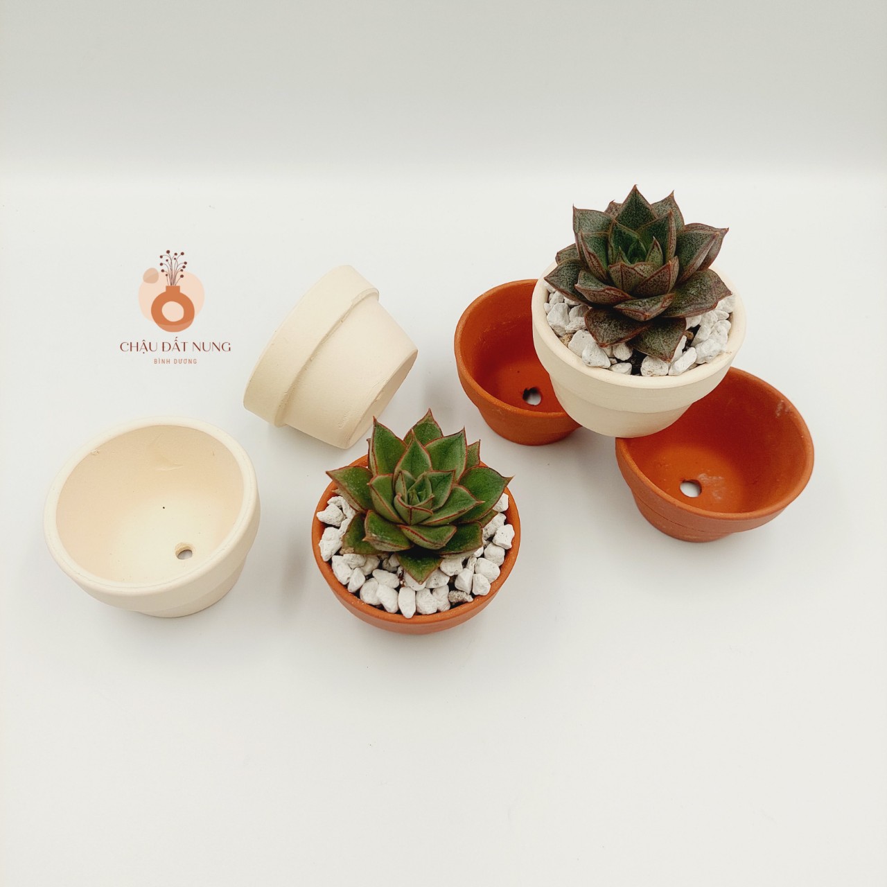 Chậu đất nung, chậu sen đá, xương rồng - Ly gờ 74, miệng chậu 7cm, chiều cao 4cm