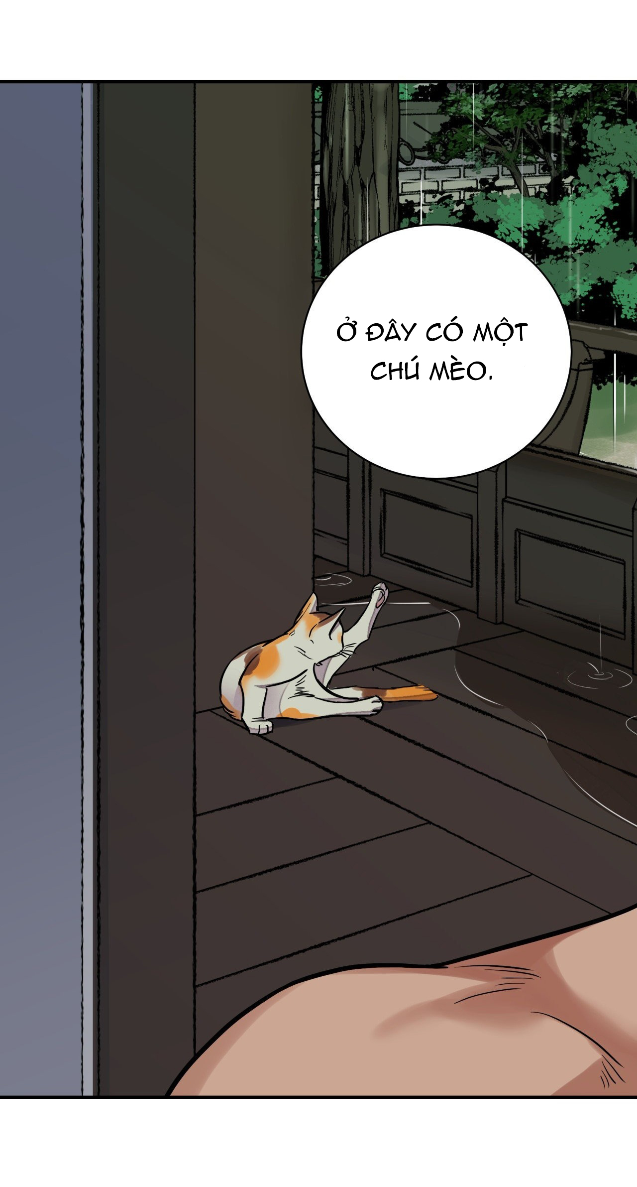 [18+] trượng kiếm tựa hoa chapter 63.2 1