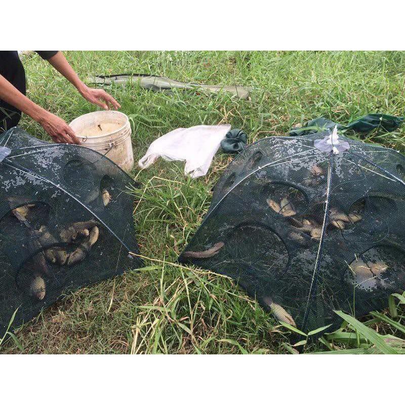 10 lưới bắt cá 8 cửa/ lưới bát quái bắt tôm, cua, cá