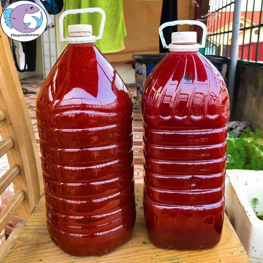 Vi sinh bể cá Men vi sinh PSB+, vi sinh quang hợp