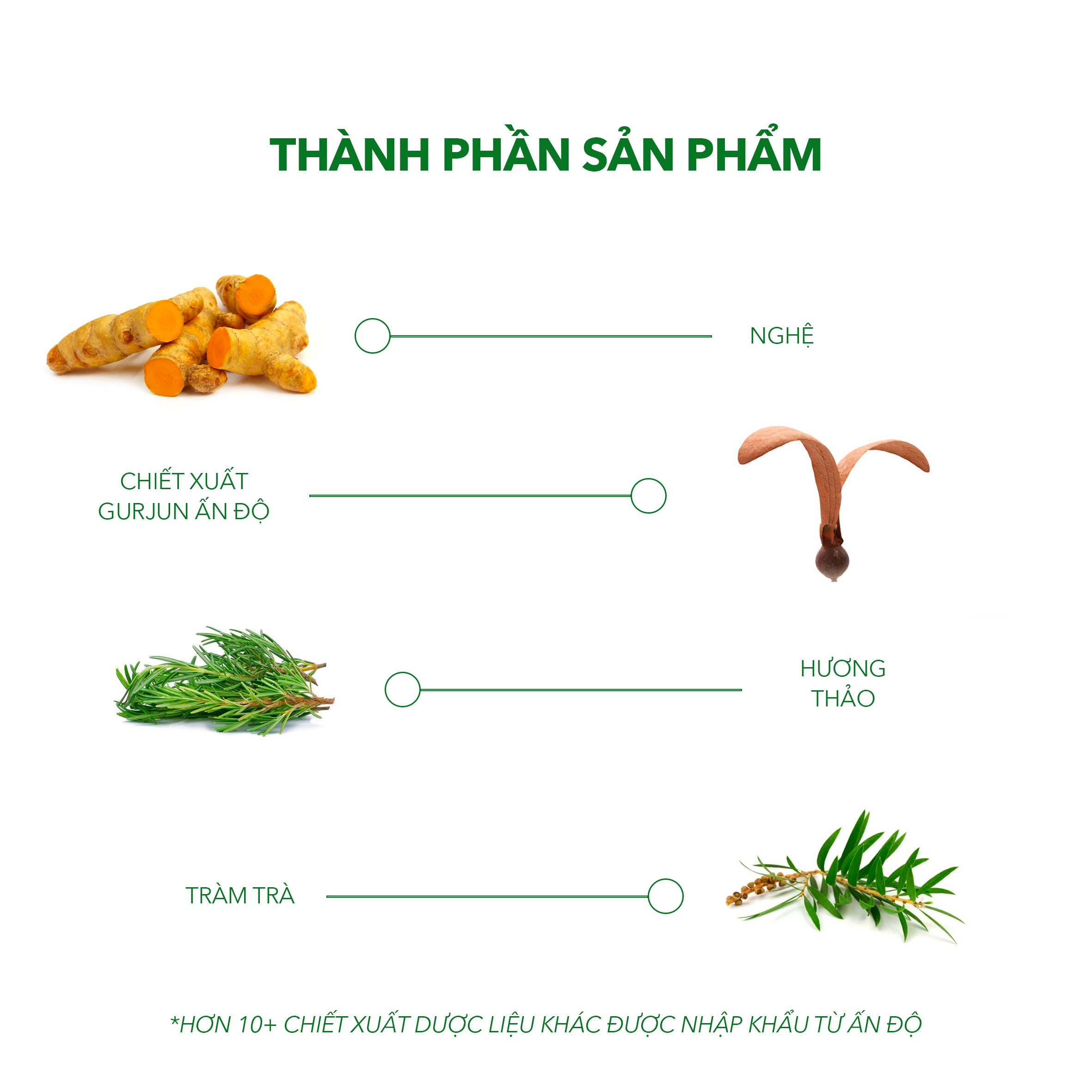 Dầu Gội Sạch Gàu Antisol pH6.5 Chiết Xuất Dược Liệu Ngăn Ngừa Gàu, Rụng Tóc, Ngứa Da Đầu Tái Phát - Chai 240ml - Thương Hiệu iCare Pharma