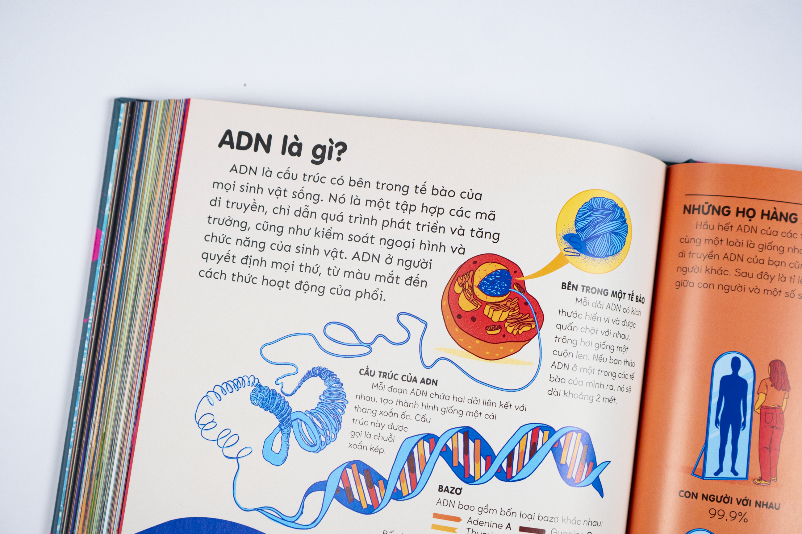 Britannica's Encyclopedia Infographica - Bách khoa thư bằng đồ họa