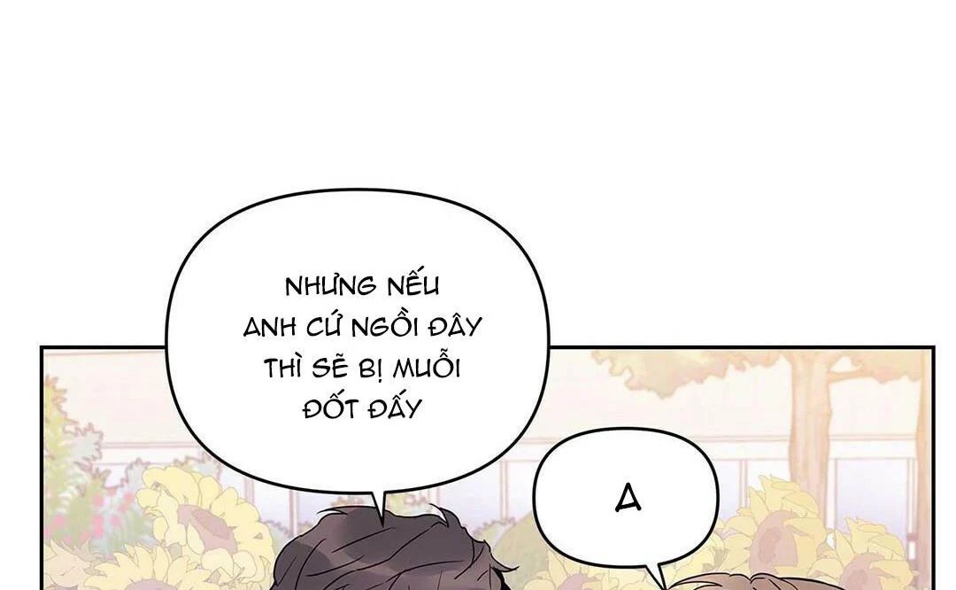 guide cấp b chapter 14 52