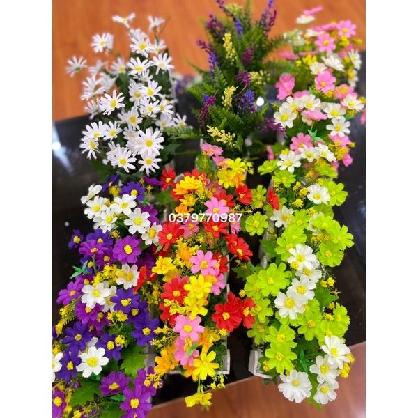Chậu hàng rào gỗ cắm sẵn hoa decor