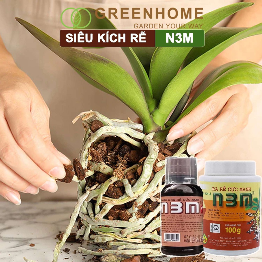Phân Bón Lá Greenhome, N3M, Chai100ml, Ra Rễ Cực Mạnh Dùng Giâm, Chiết Cành, Ngâm Hạt Giống, Chuyên Kiểng, Hoa Hồng, Lan