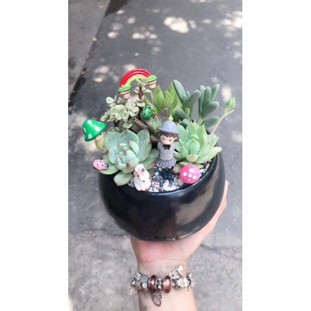 Chậu tiểu cảnh 04