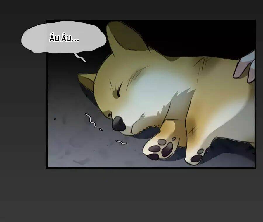 toàn cơ từ chapter 49.2 6