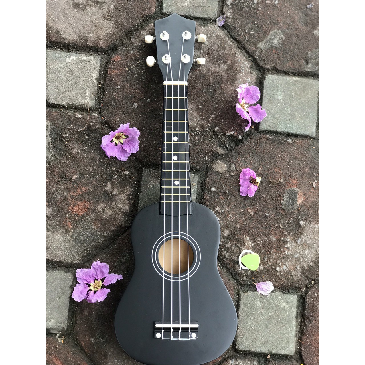 Đàn Ukulele màu đen (SOL.G)