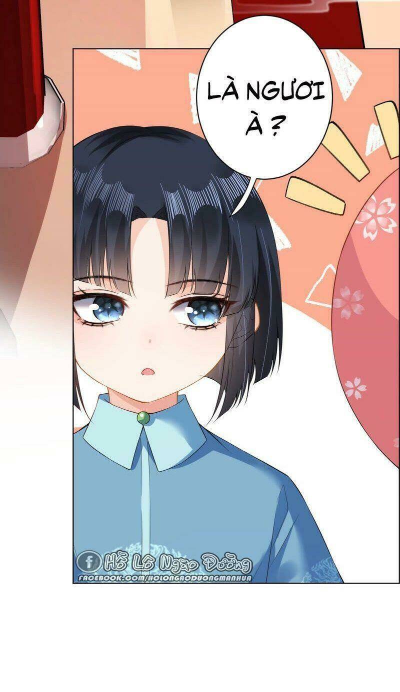 quận chúa vững vàng, thiết lập nhân vật không thể vỡ chapter 25 10