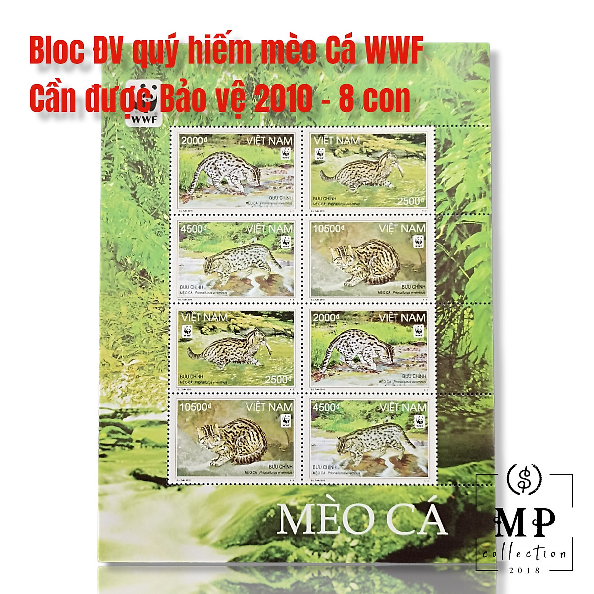 Bloc gồm 6 tem sưu tầm mèo Cá WWF Bảo vệ động vật quý hiếm 2010 8 con