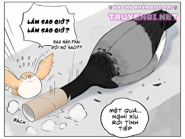 sẻ chiếu mới và nhạn phong sương chapter 3 7