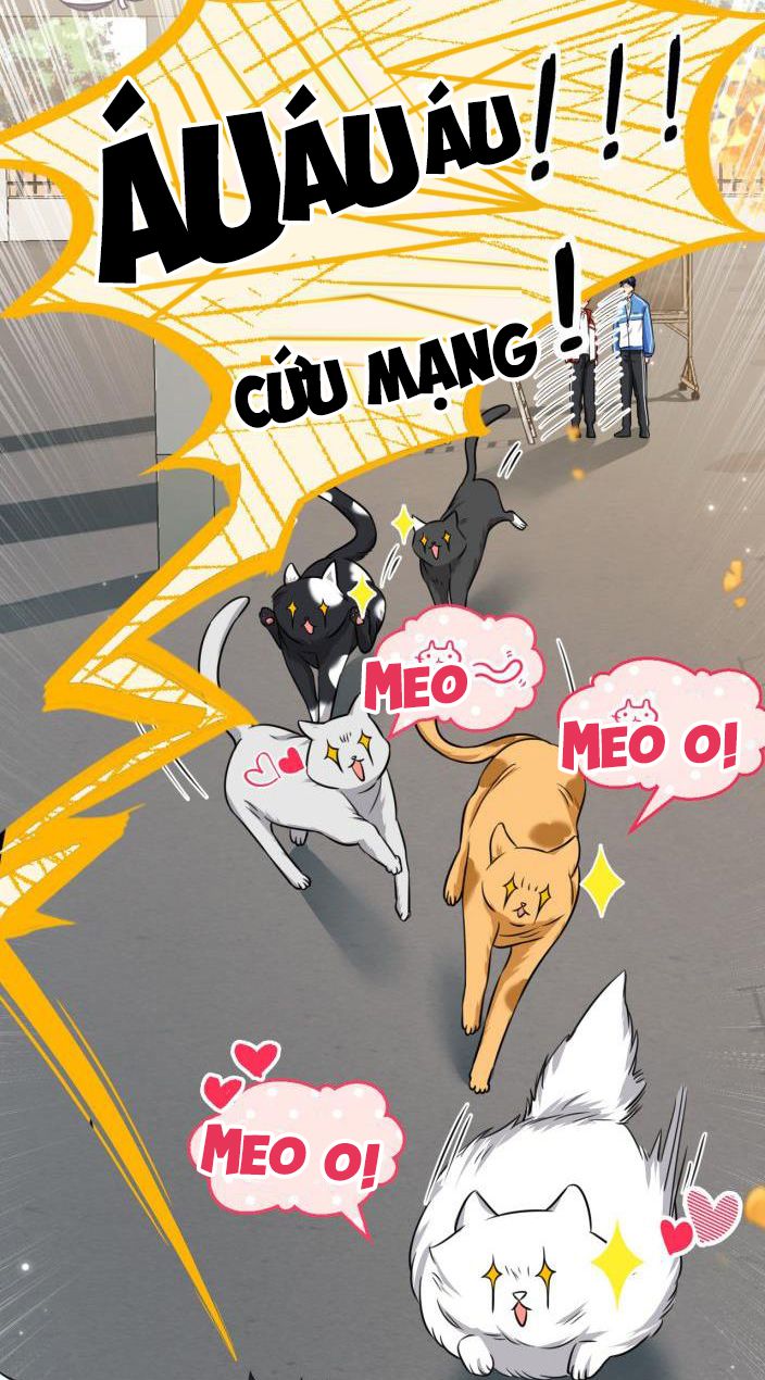 tín tức tố nói chúng ta không thể chapter 27 21