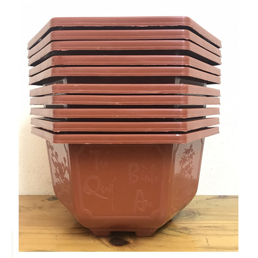10 Châu Nhựa Bonsai Lục Giác Bình Thuận 250x150 Trồng Hoa, Cây Cảnh