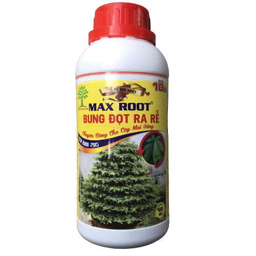 Bung đọt ra rễ max root , chuyên phục hồi cây si cây chậm phát triển ( chai 500ml )