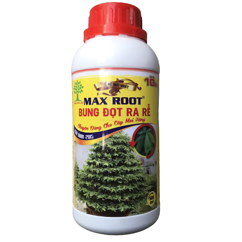 Max Root bung đọt ra rễ cây mai vàng , phục hồi cây si cực hiệu quả ( chai 500ml )