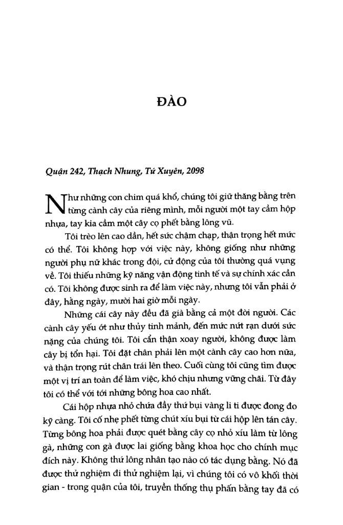 Lịch Sử Loài Ong