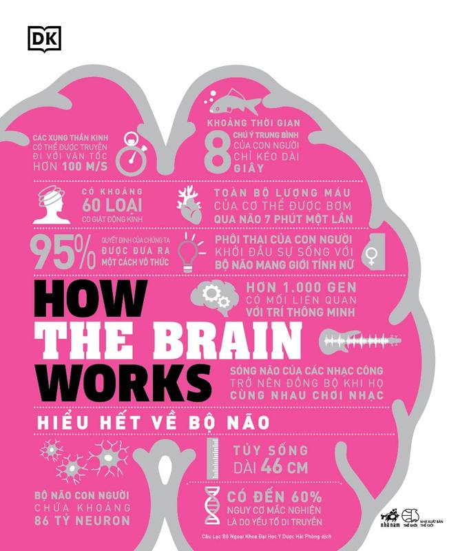 Sách - Hiểu hết về bộ não (How the brain works) (Nhã Nam HCM)