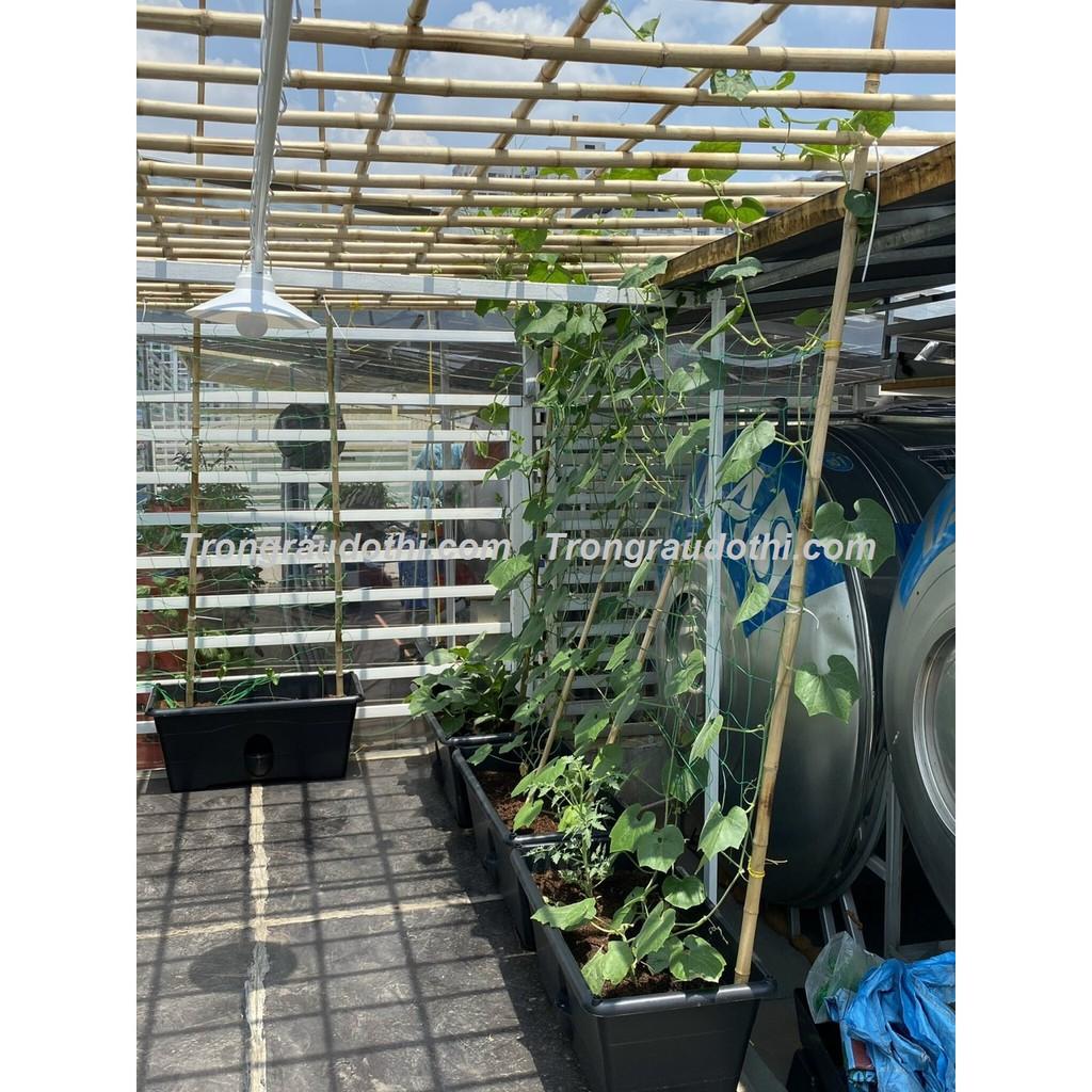 Combo 5 Khay Trồng Rau Bán Thủy Canh Dosa - Cung Cấp Bởi Trồng Rau Đô Thị