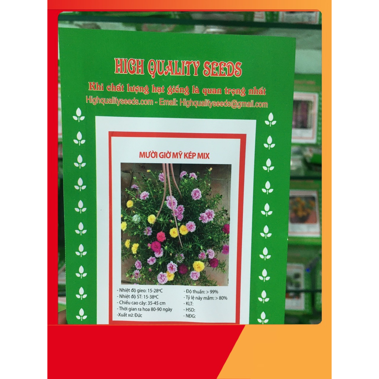 Hạt Giống Hoa Mười Giờ Mỹ Kép Mix High Quality Seeds - Nảy Mầm Cực Chuẩn