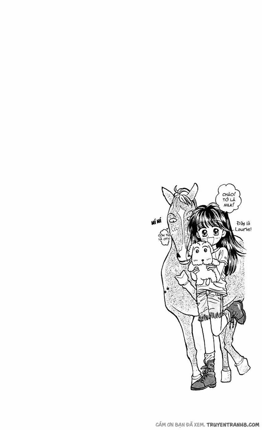 milk to vitamin chapter 1 7