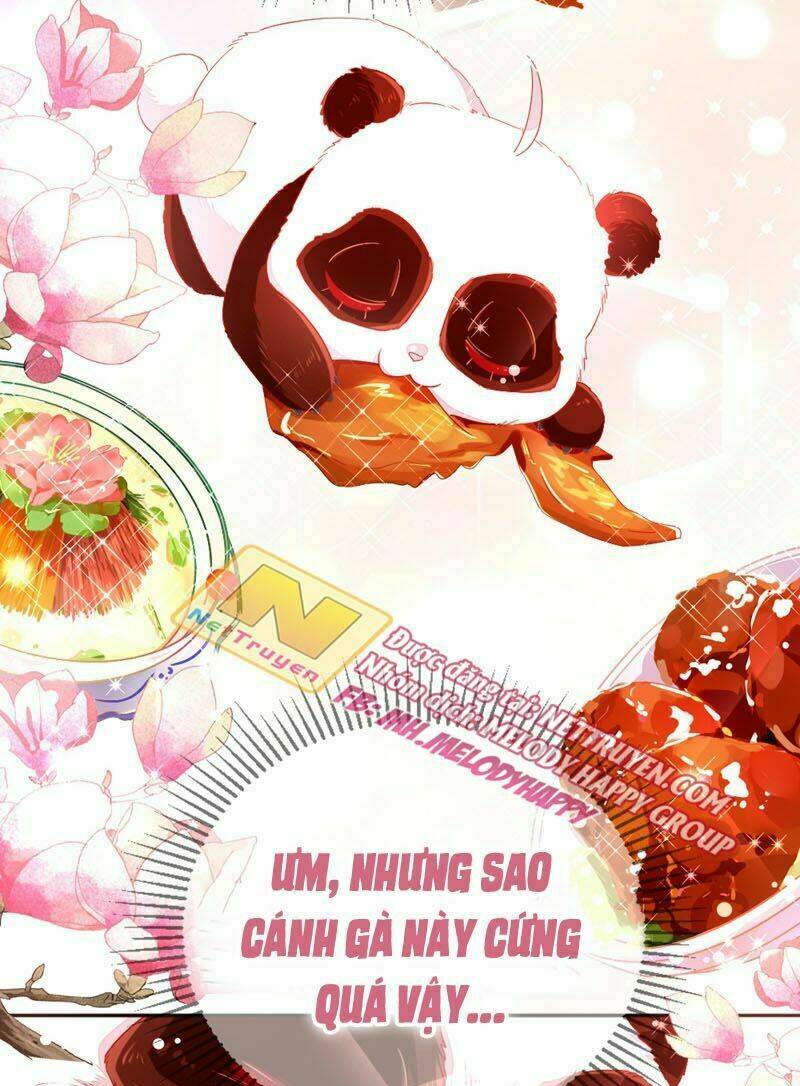 thiên thần gấu trúc muốn được ôm chapter 41 5