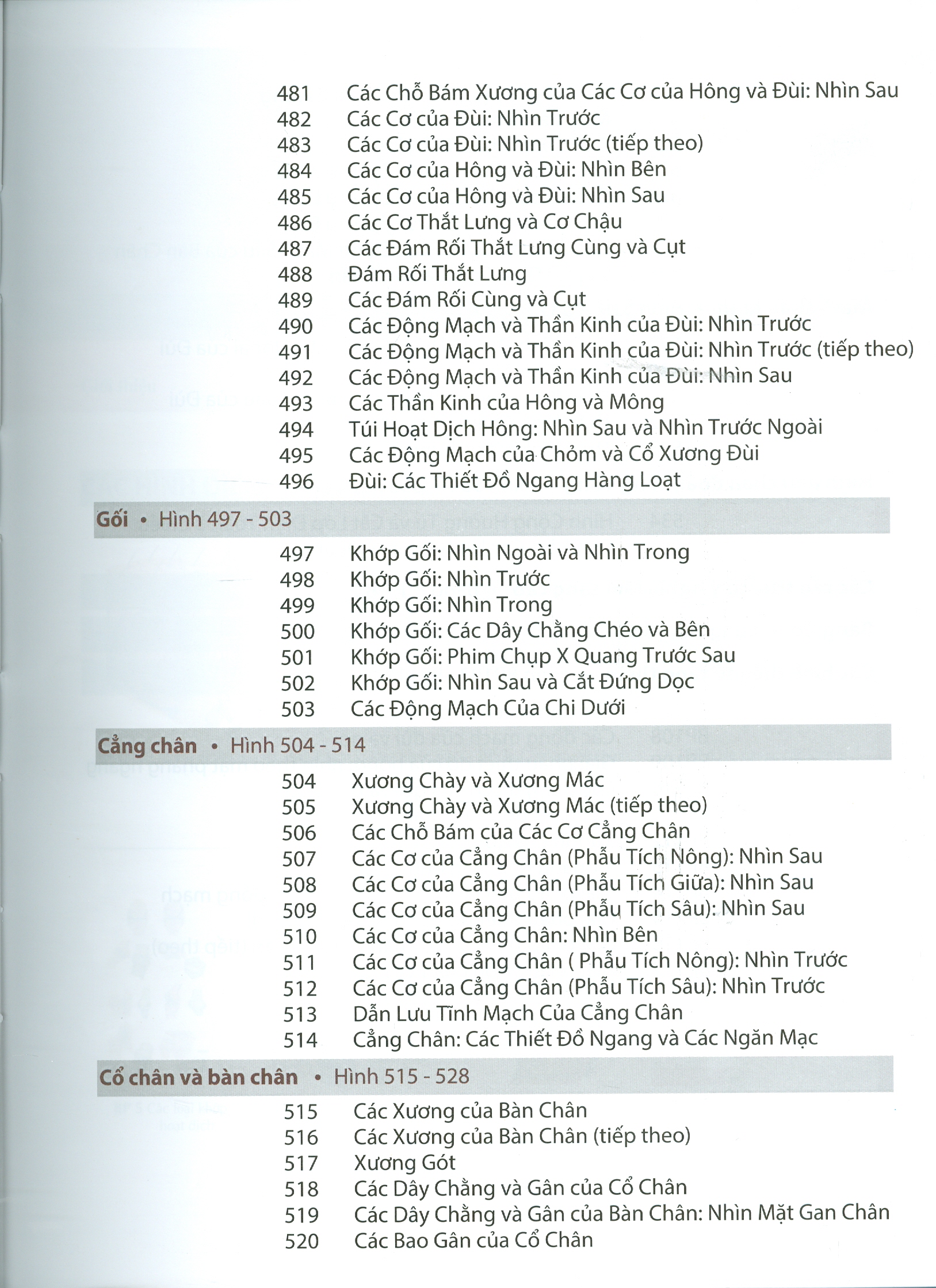 ATLAS GIẢI PHẪU NGƯỜI - In Lần Thứ IV (năm 2022) Theo Ấn Phẩm Lần Thứ VII Của Nxb Elsevier Có Sửa Chữa Và Bổ Sung (ATLAS OF HUMAN ANATOMY  Seventh Edition)