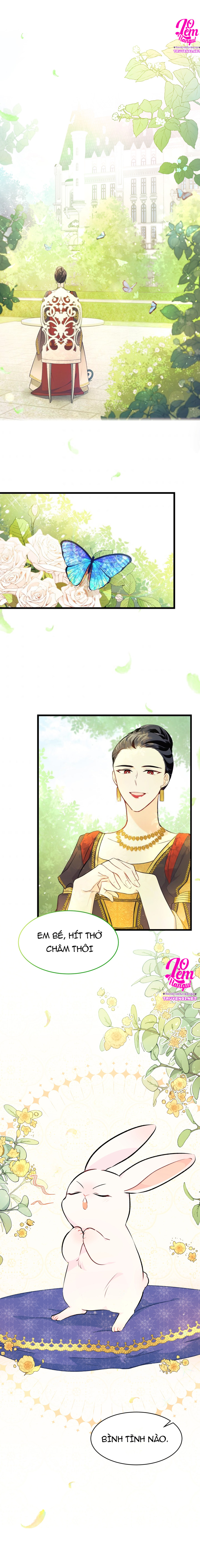 mối liên kết giữa báo đen và bé thỏ chapter 8 2