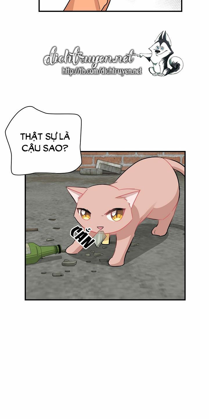 cuộc sống kỳ thú chapter 26 26