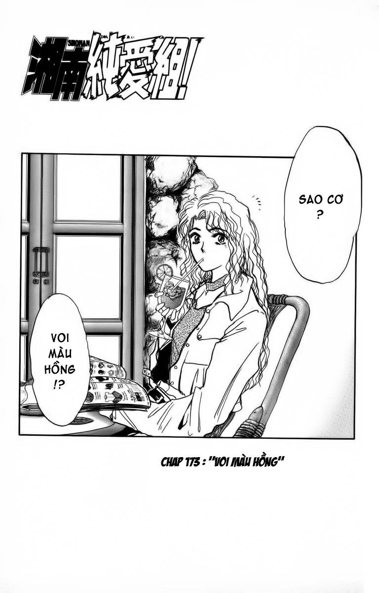 shonan junai gumi chapter 173 2