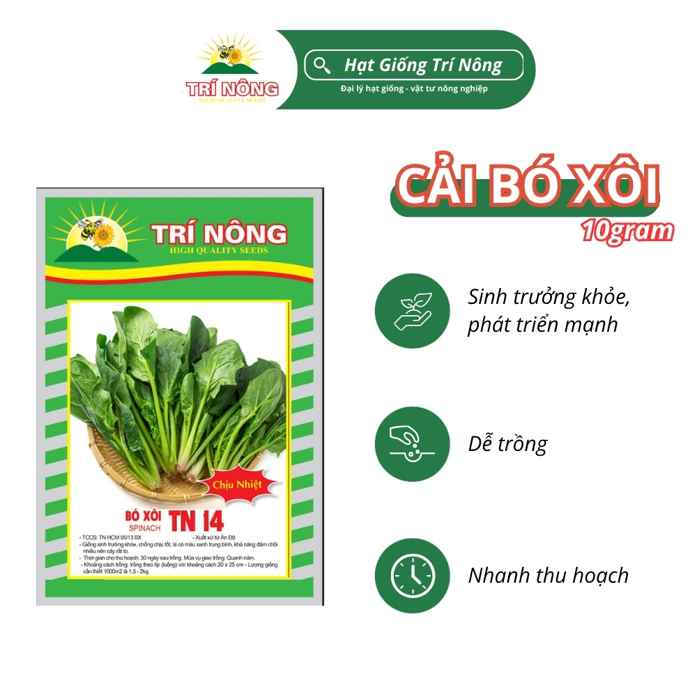 Hạt Giống Cải Bó Xôi Trí Nông, TN14, Dễ Trồng, Nhanh Thu Hoạch, Thời gian mọc 55 ngày, Gói 10gram
