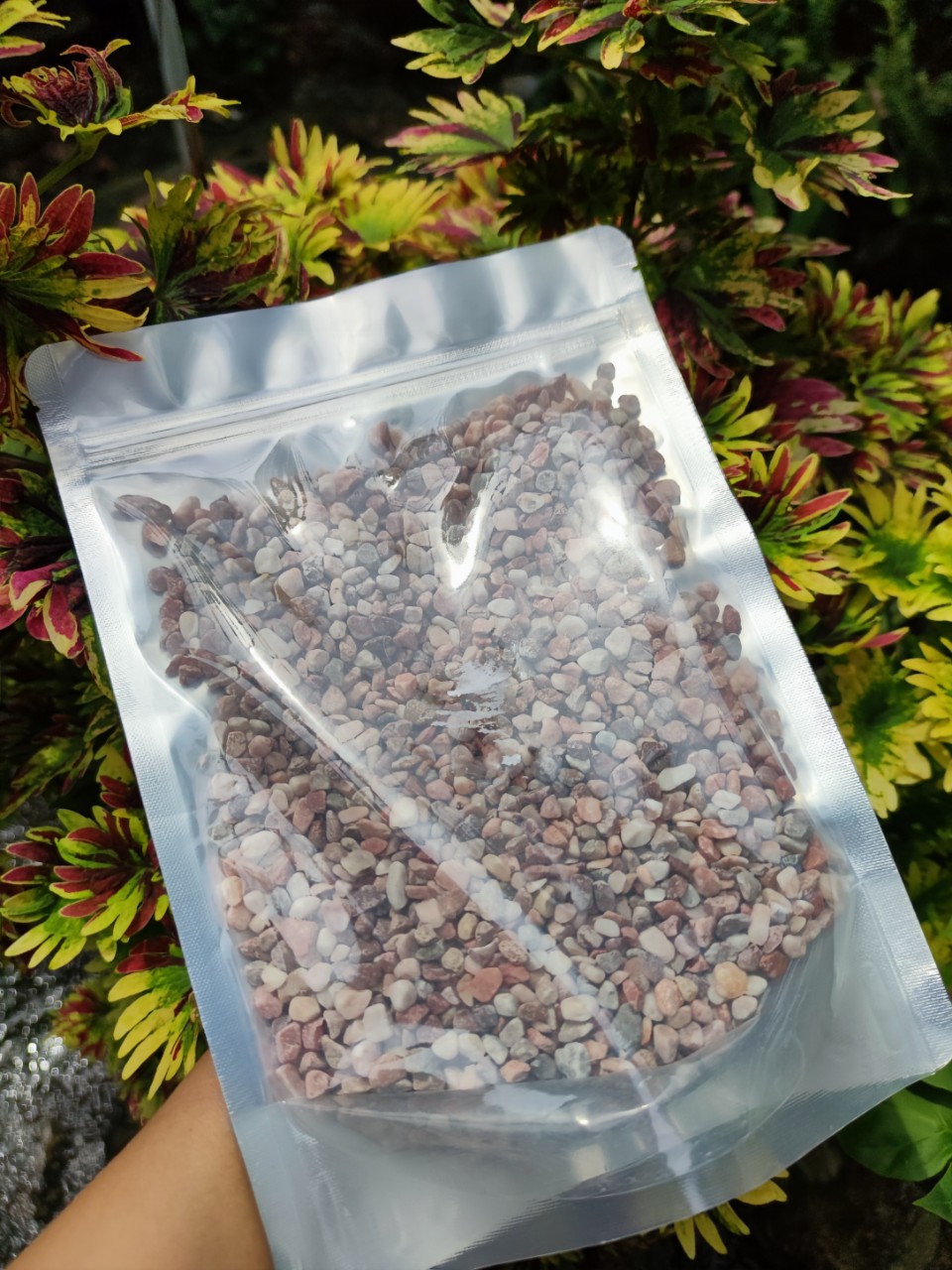 Gói 1kg - Sỏi hồng tự nhiên siêu dễ thương