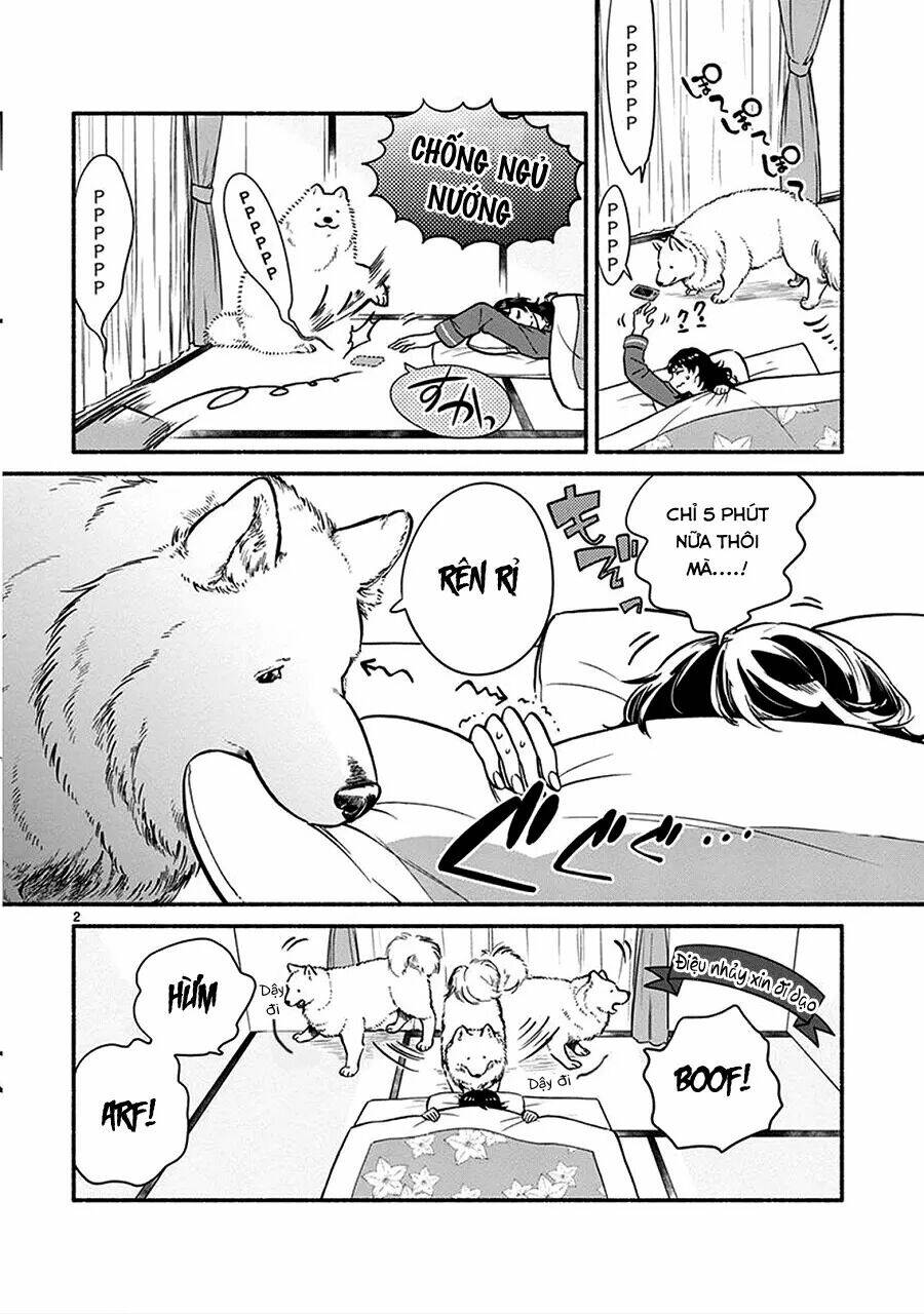 one-room wanko chapter 1 6