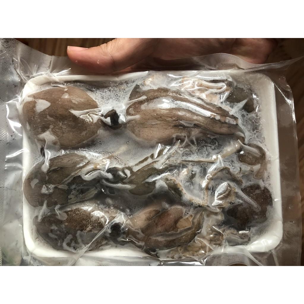 Ruốc bạch tuộc chân dài Vân Đồn
