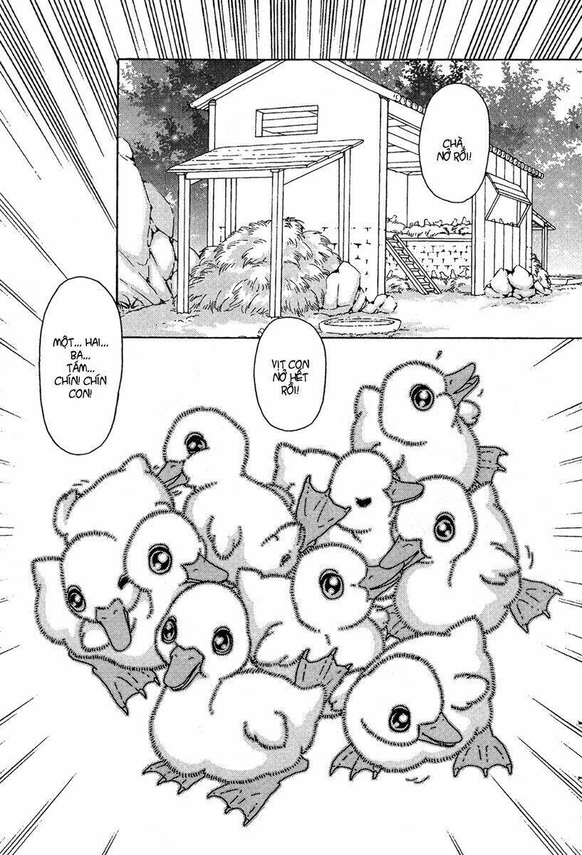 bird of youth chapter 5 16