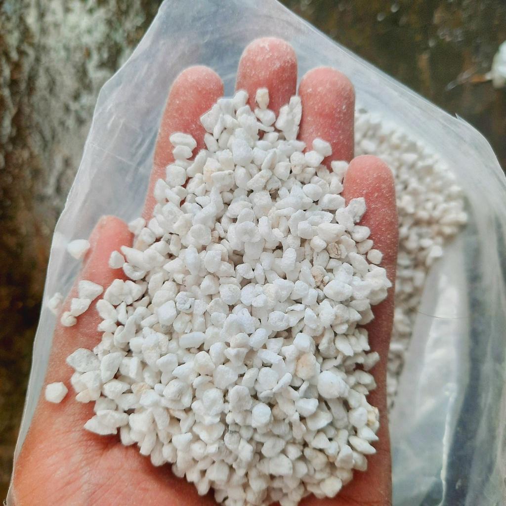 Đá Perlite giá thể trồng cây giúp thoát nước cực tốt
