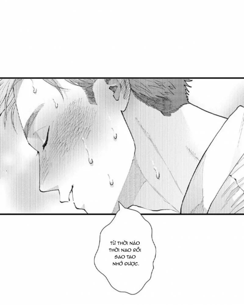 bị anh chàng lập dị để ý chapter 102 11