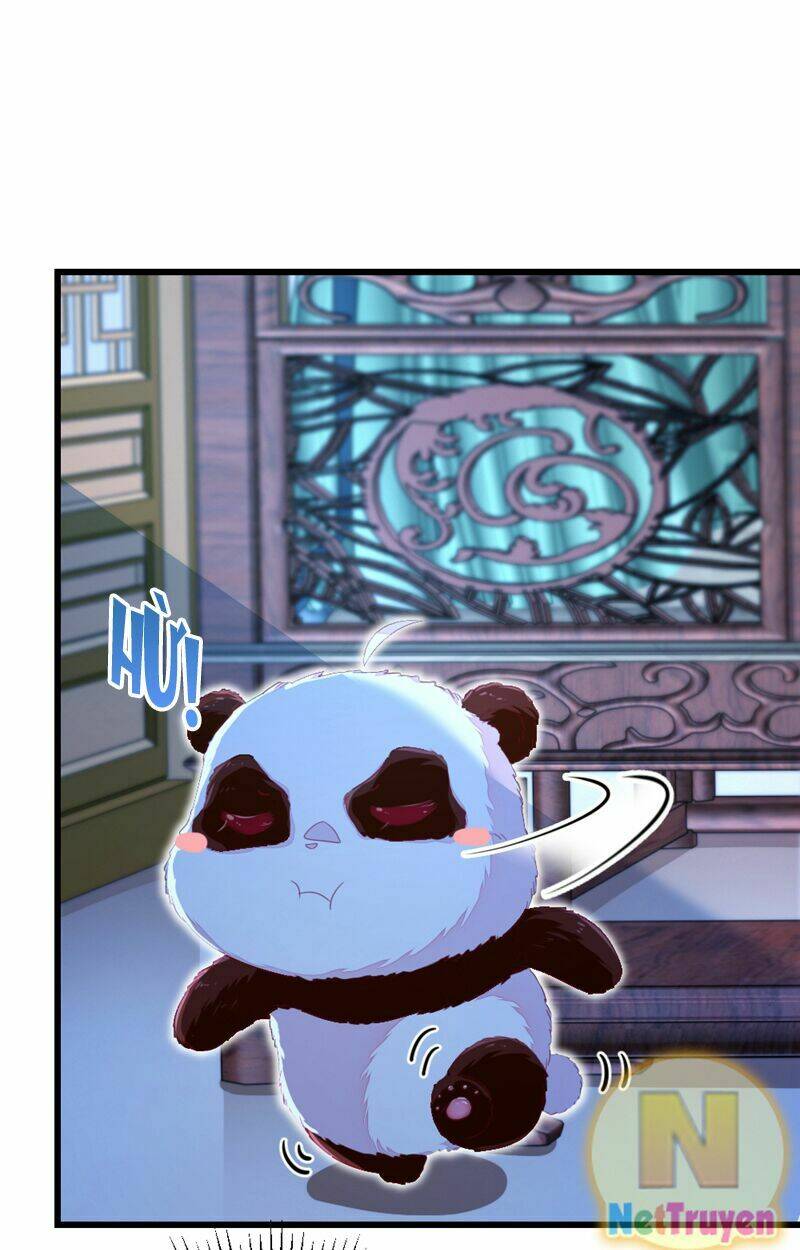 thiên thần gấu trúc muốn được ôm chapter 15 8