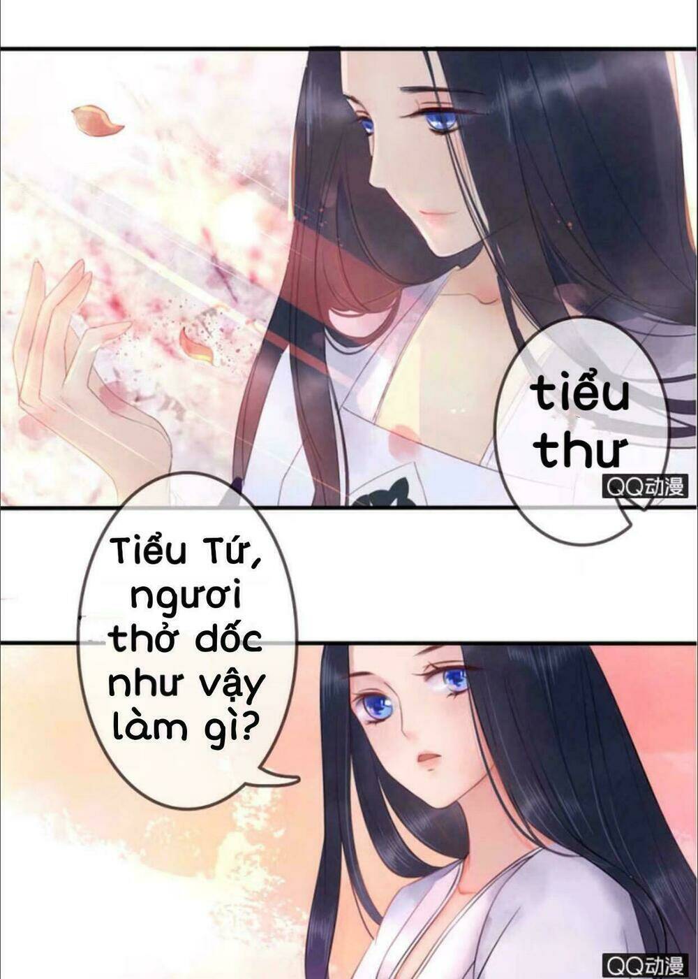 sủng phi của vương chapter 13 9