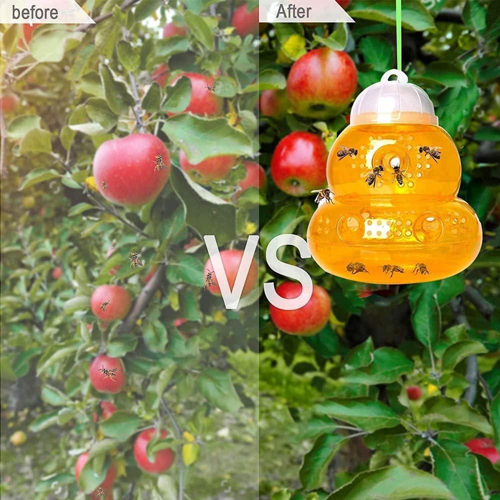 Bẫy bị bẫy, bộ 2 con ong bắt, bẫy Hornet để treo, bắt, bẫy trái cây có thể tháo rời và có thể tái sử dụng, để treo hoặc sử dụng ngoài trời.