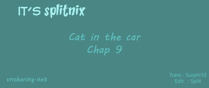 cat in the car chapter 9 1