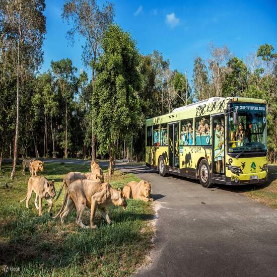 Phú Quốc - Thiên đường giải trí VinWonders - Vinpearl Safari - Bay cùng Vietravel Airlines - Khách sạn Holidays Infinity 5*