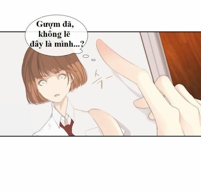 tình cờ tìm thấy tháng 7 chapter 4.1 12