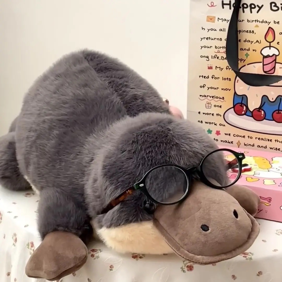 Thú nhồi bông rái cá mỏ vịt đáng yêu - Size 55cm đến 70cm - Quà tặng gấu bông thú mỏ vịt êm mịn cho bé