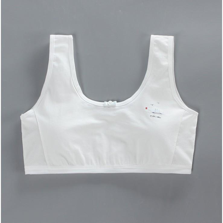 Bra / Áo Lá Học Sinh Hai Lớp Cotton Xuất Hàn Hàng Loại Đẹp.