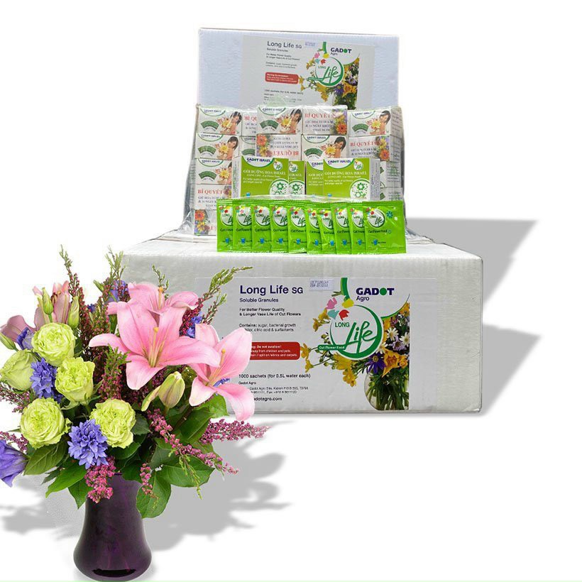Dưỡng Hoa Tươi Lâu Nhập Khẩu ISRAEL Long Life - Hoa Lâu Tàn, Không Thối Nước
