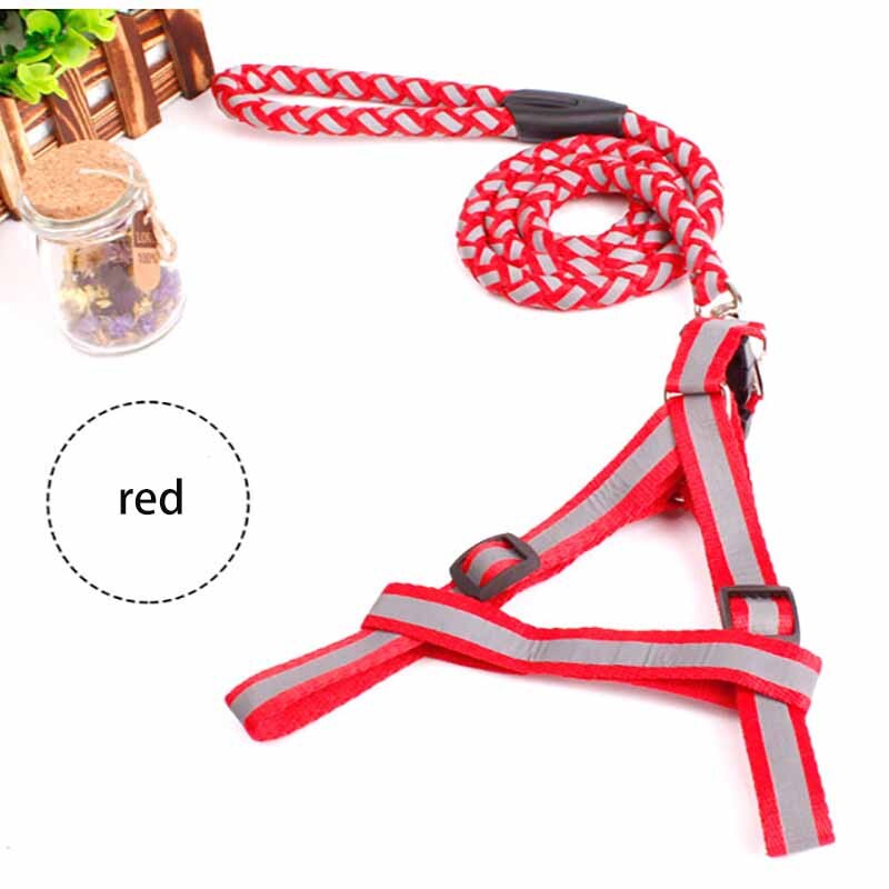 Dây dắt chó mèo có yếm và phản quang ban đêm - Genyo rope 059 ( màu giao ngẫu nhiên )